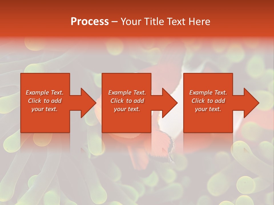 All Types Of Fish In The World PowerPoint Template