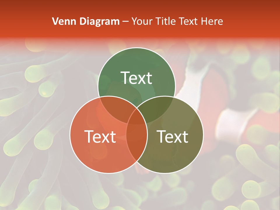 All Types Of Fish In The World PowerPoint Template