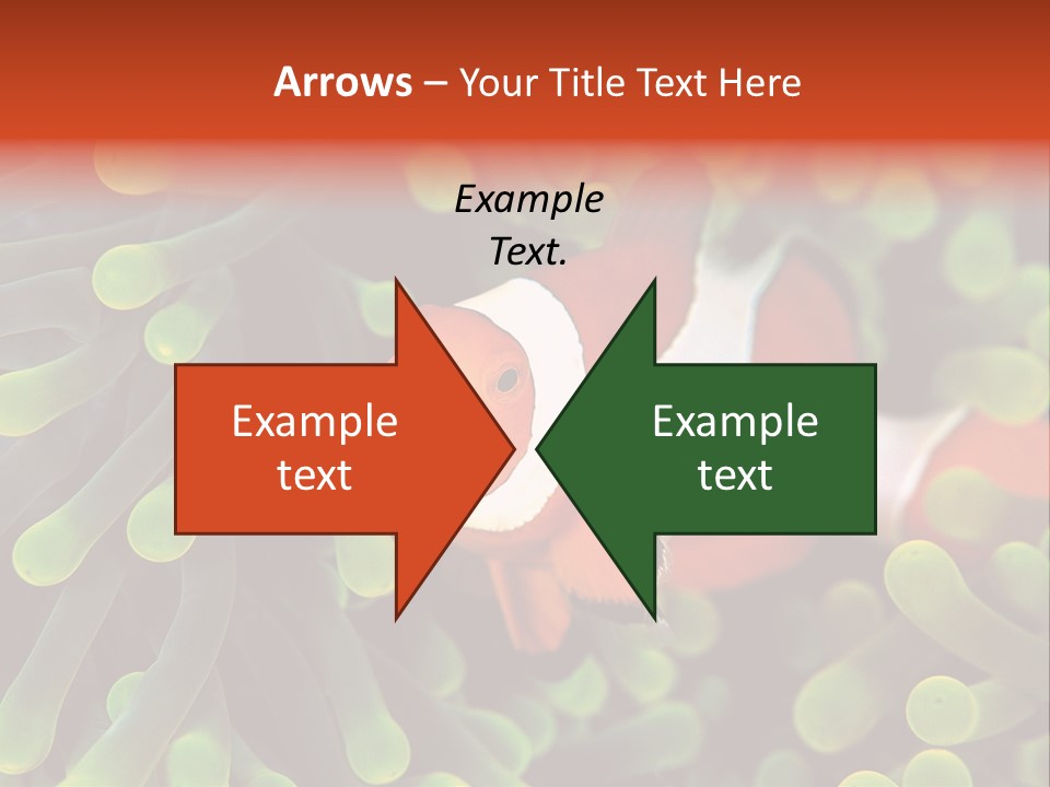 All Types Of Fish In The World PowerPoint Template