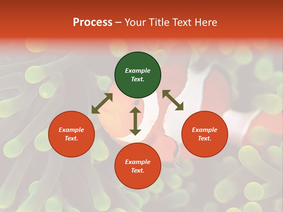 All Types Of Fish In The World PowerPoint Template