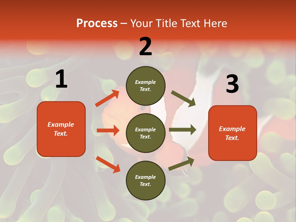 All Types Of Fish In The World PowerPoint Template