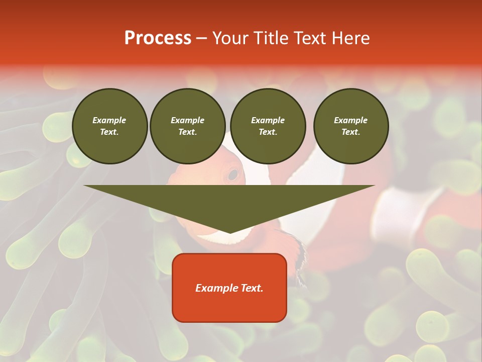 All Types Of Fish In The World PowerPoint Template