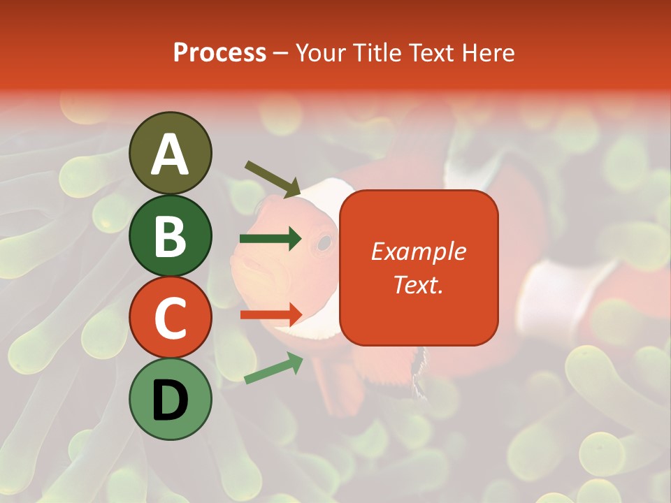 All Types Of Fish In The World PowerPoint Template