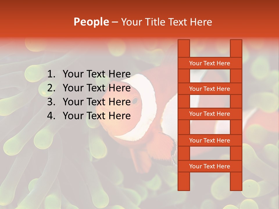 All Types Of Fish In The World PowerPoint Template