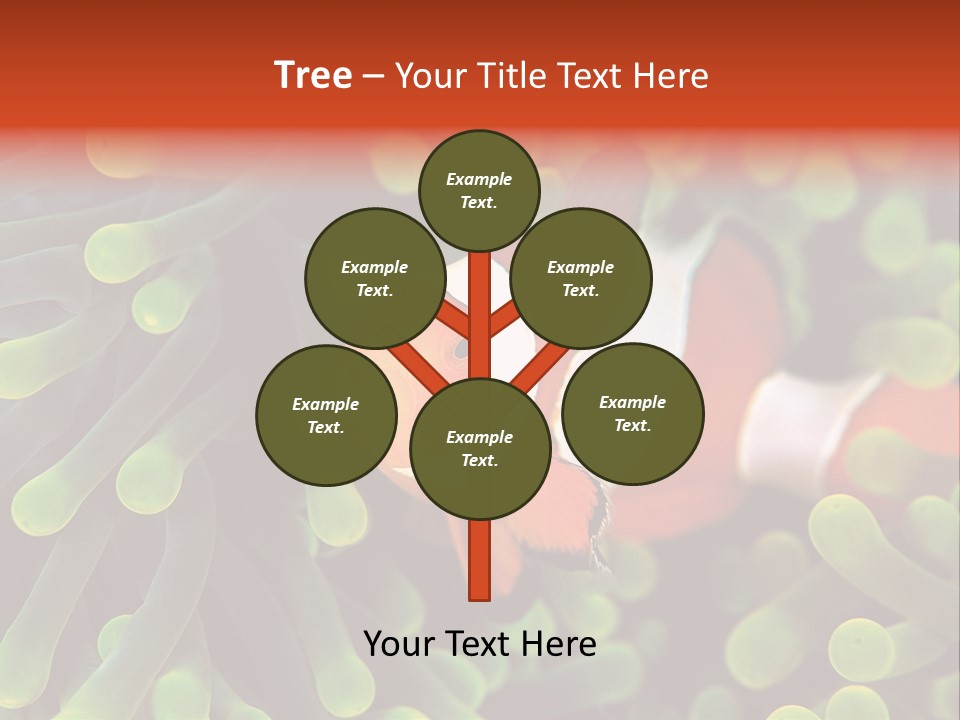 All Types Of Fish In The World PowerPoint Template