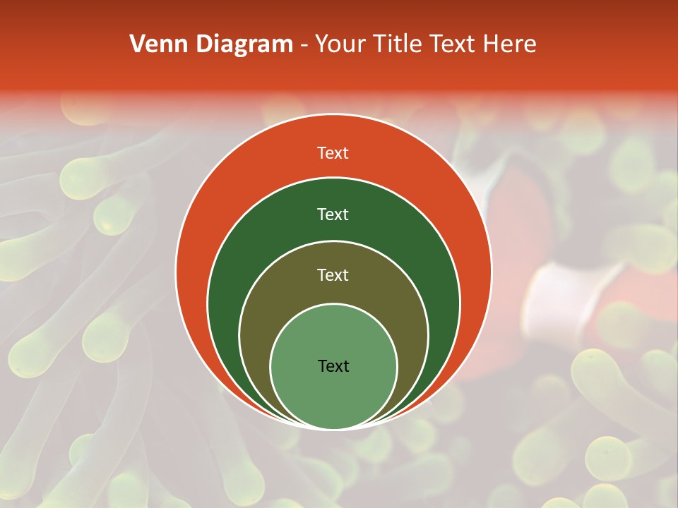 All Types Of Fish In The World PowerPoint Template