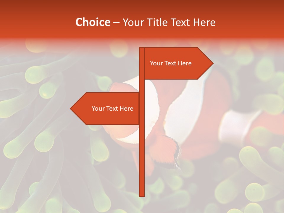 All Types Of Fish In The World PowerPoint Template