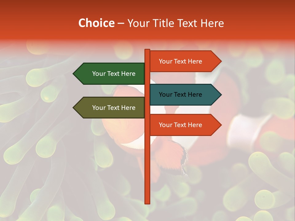 All Types Of Fish In The World PowerPoint Template