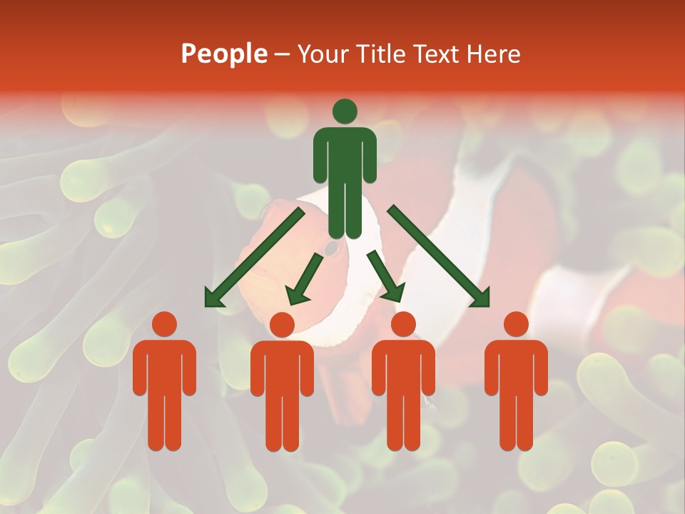 All Types Of Fish In The World PowerPoint Template