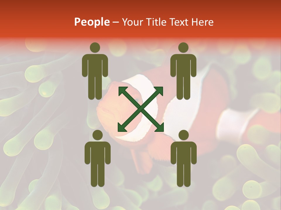 All Types Of Fish In The World PowerPoint Template