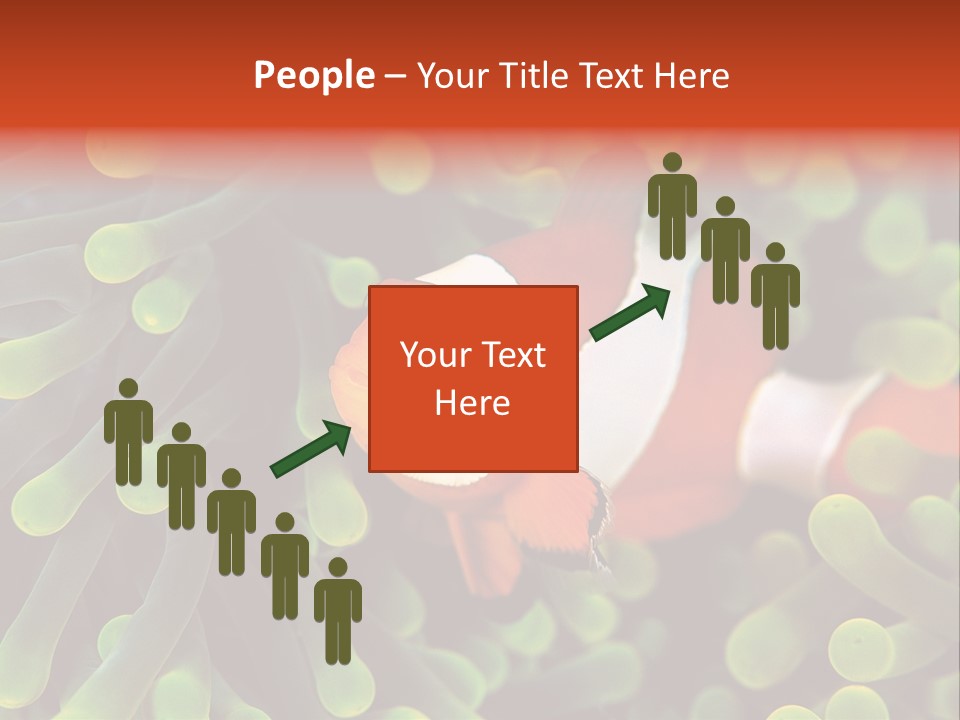 All Types Of Fish In The World PowerPoint Template