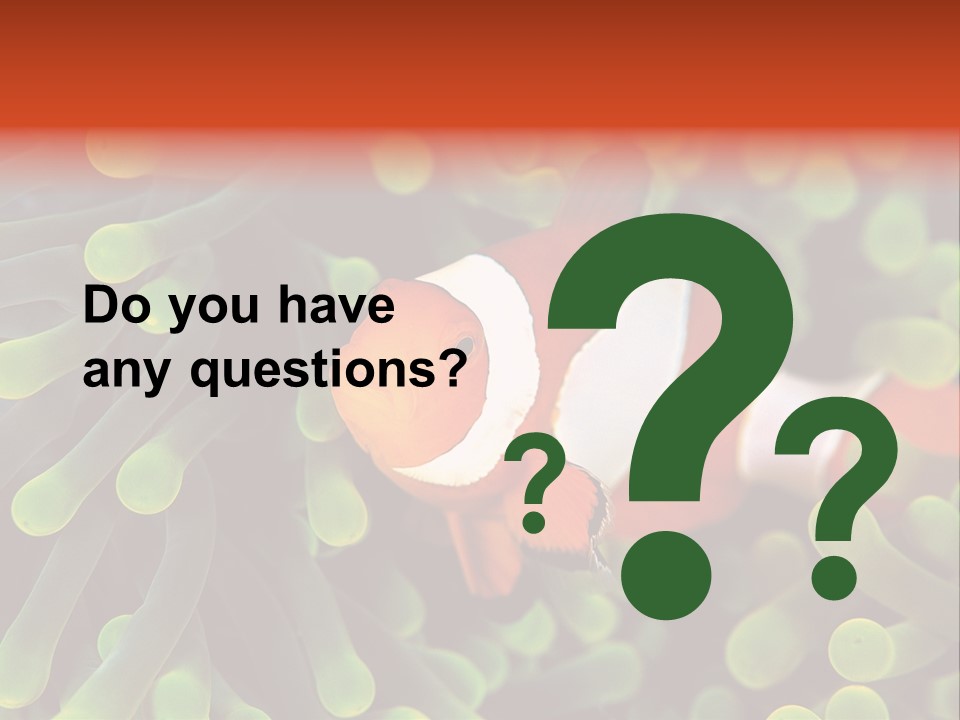 All Types Of Fish In The World PowerPoint Template