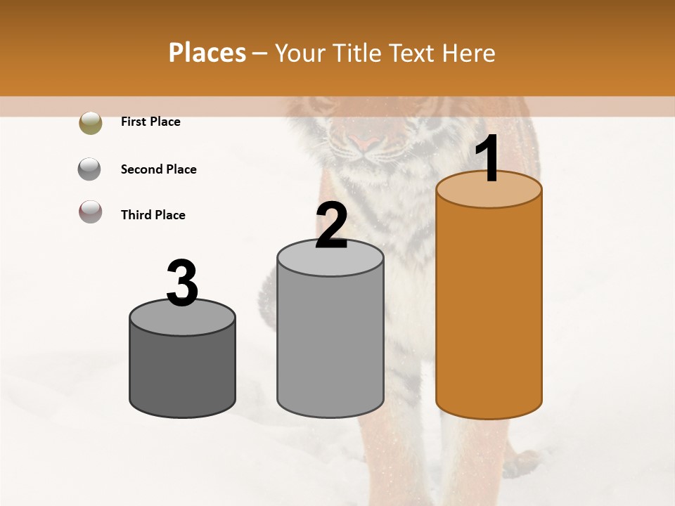 Siberian Tiger Wallpaper Hd PowerPoint Template