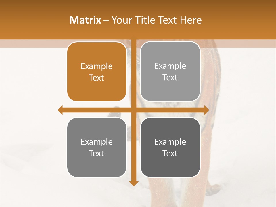 Siberian Tiger Wallpaper Hd PowerPoint Template