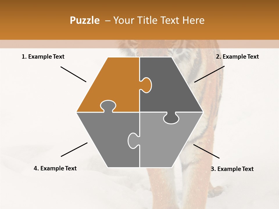 Siberian Tiger Wallpaper Hd PowerPoint Template