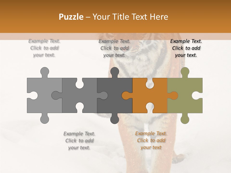 Siberian Tiger Wallpaper Hd PowerPoint Template