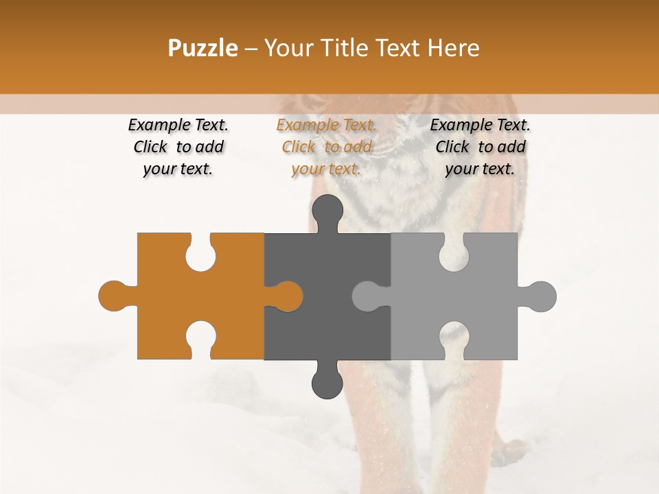 Siberian Tiger Wallpaper Hd PowerPoint Template