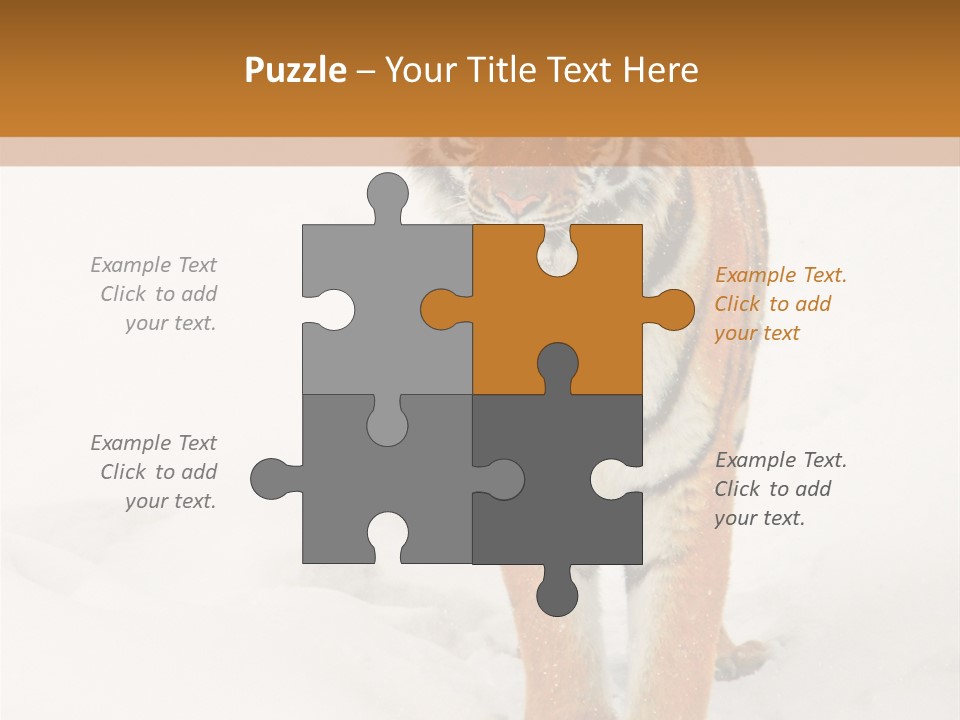 Siberian Tiger Wallpaper Hd PowerPoint Template