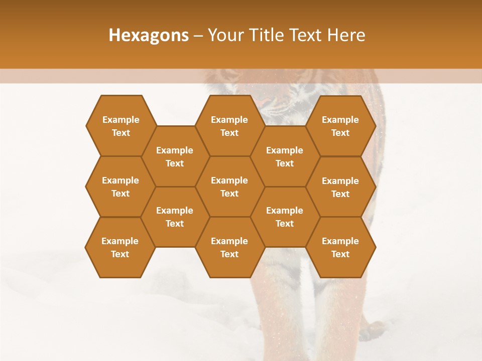 Siberian Tiger Wallpaper Hd PowerPoint Template