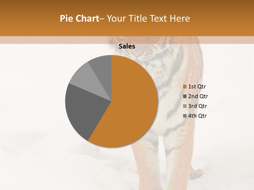 Siberian Tiger Wallpaper Hd PowerPoint Template