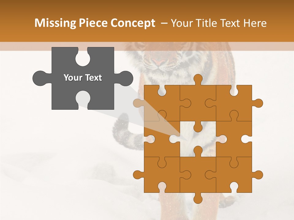 Siberian Tiger Wallpaper Hd PowerPoint Template