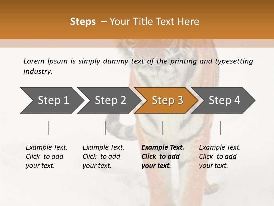 Siberian Tiger Wallpaper Hd PowerPoint Template