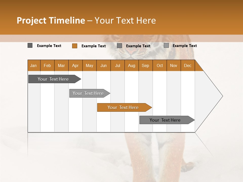 Siberian Tiger Wallpaper Hd PowerPoint Template