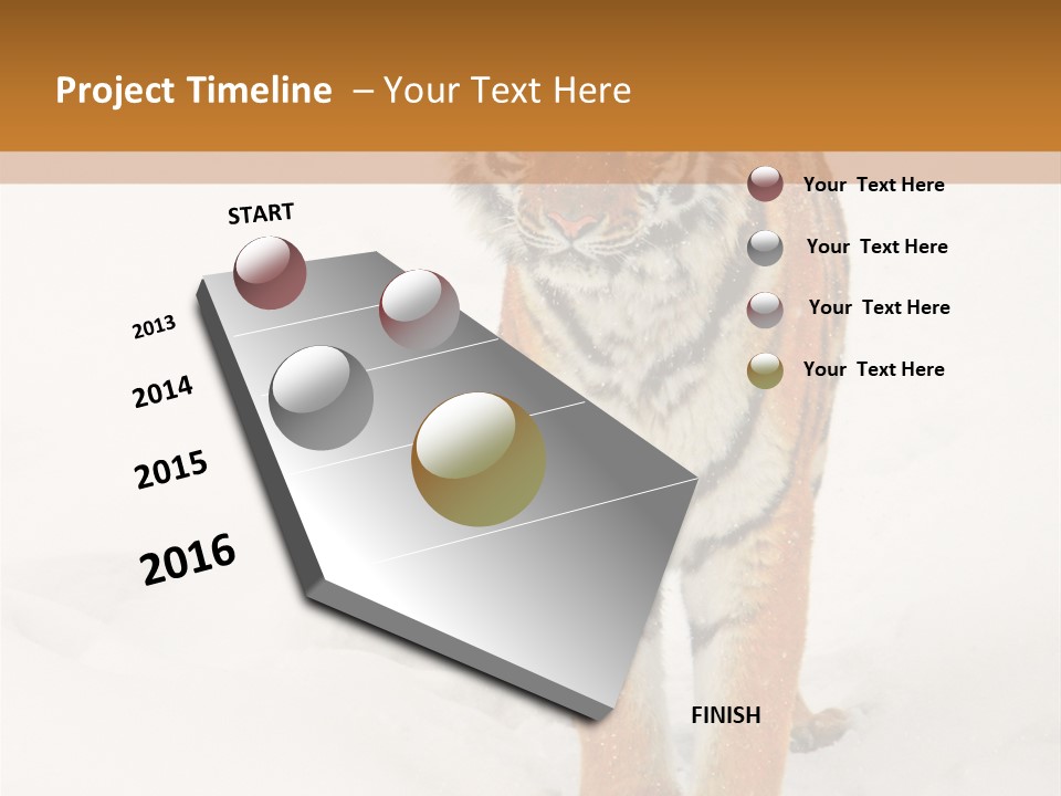 Siberian Tiger Wallpaper Hd PowerPoint Template