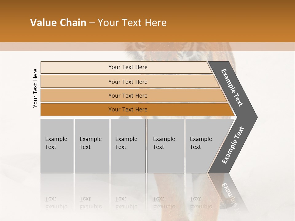 Siberian Tiger Wallpaper Hd PowerPoint Template