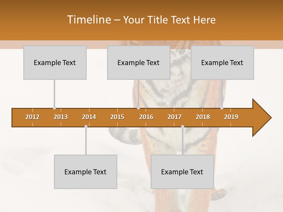 Siberian Tiger Wallpaper Hd PowerPoint Template