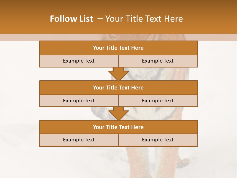 Siberian Tiger Wallpaper Hd PowerPoint Template