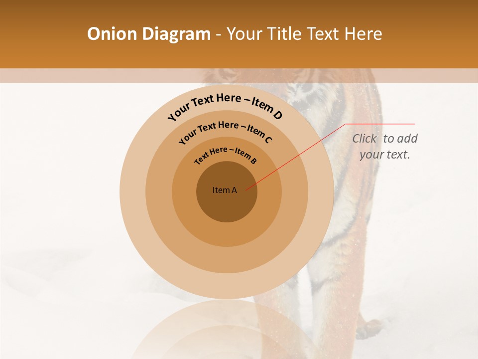 Siberian Tiger Wallpaper Hd PowerPoint Template