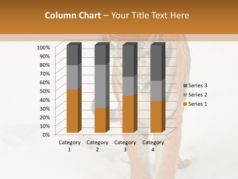 Siberian Tiger Wallpaper Hd PowerPoint Template