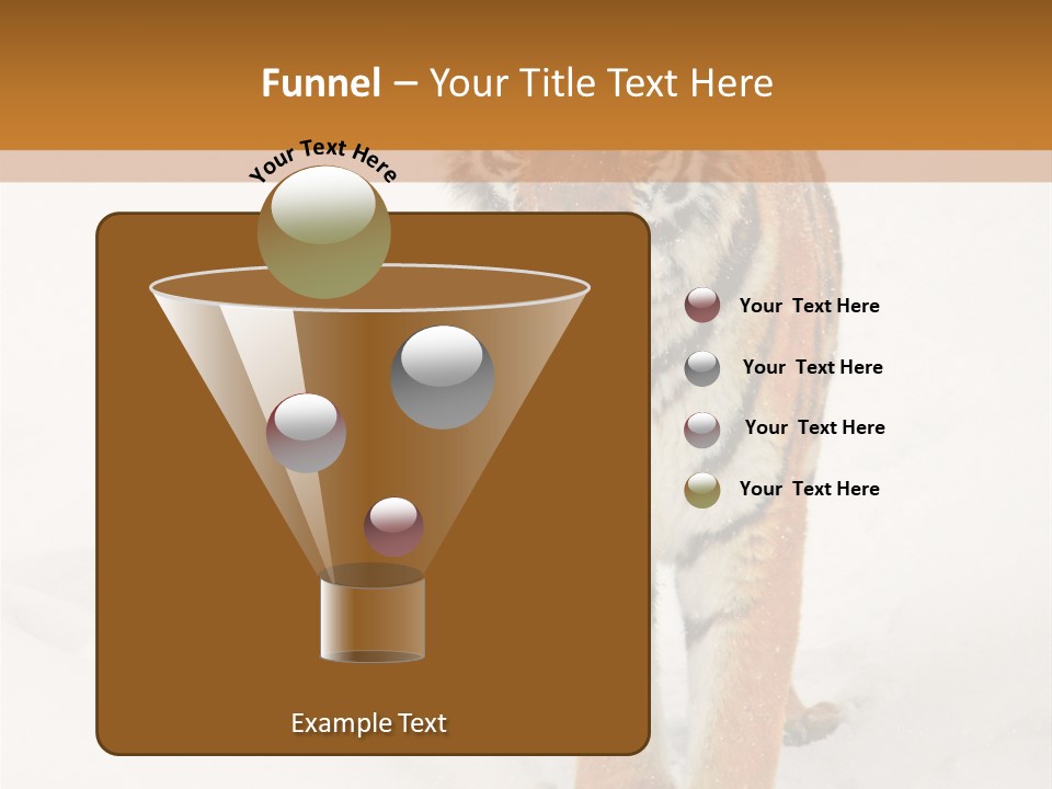 Siberian Tiger Wallpaper Hd PowerPoint Template