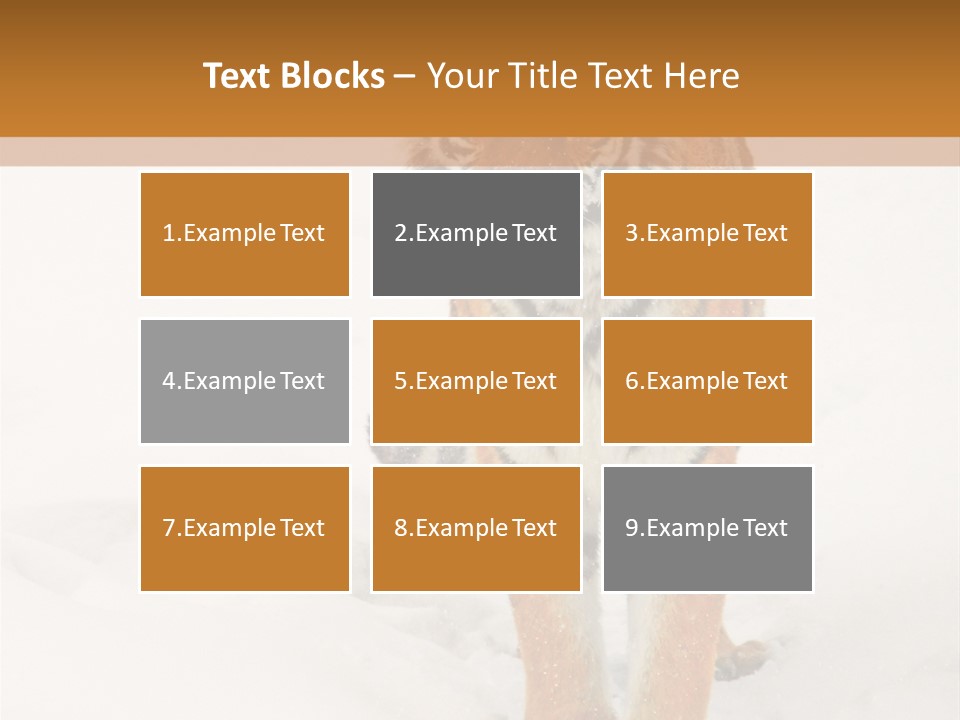 Siberian Tiger Wallpaper Hd PowerPoint Template