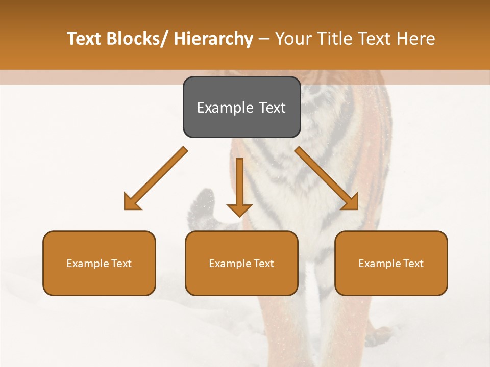 Siberian Tiger Wallpaper Hd PowerPoint Template