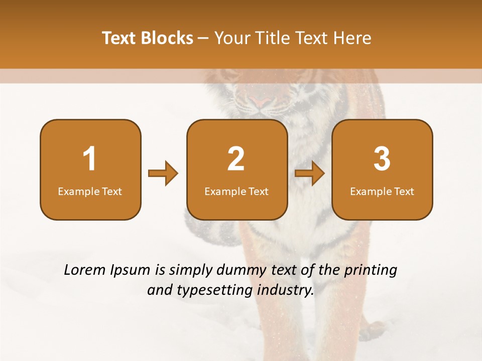 Siberian Tiger Wallpaper Hd PowerPoint Template