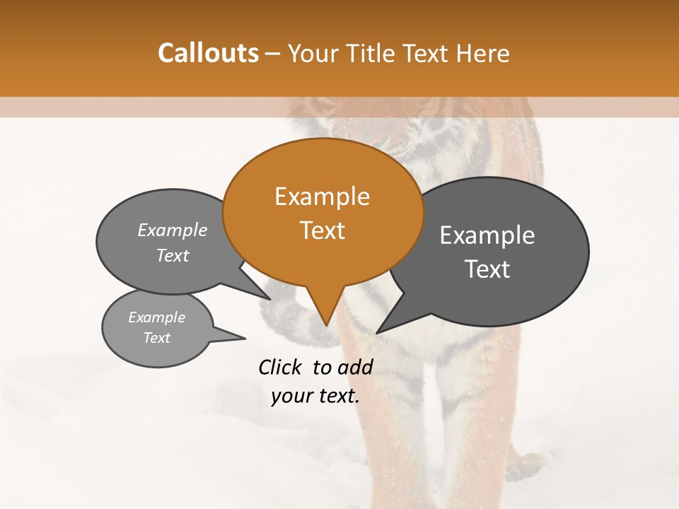 Siberian Tiger Wallpaper Hd PowerPoint Template