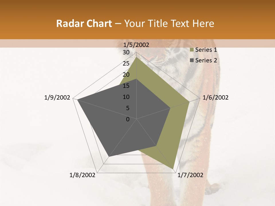 Siberian Tiger Wallpaper Hd PowerPoint Template