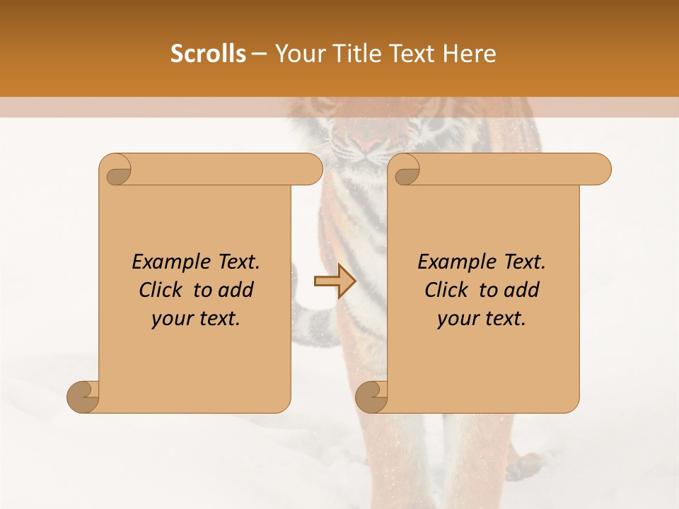 Siberian Tiger Wallpaper Hd PowerPoint Template