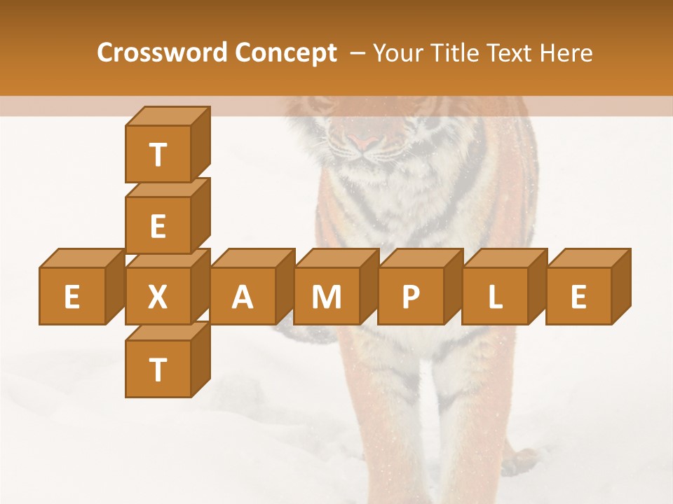 Siberian Tiger Wallpaper Hd PowerPoint Template