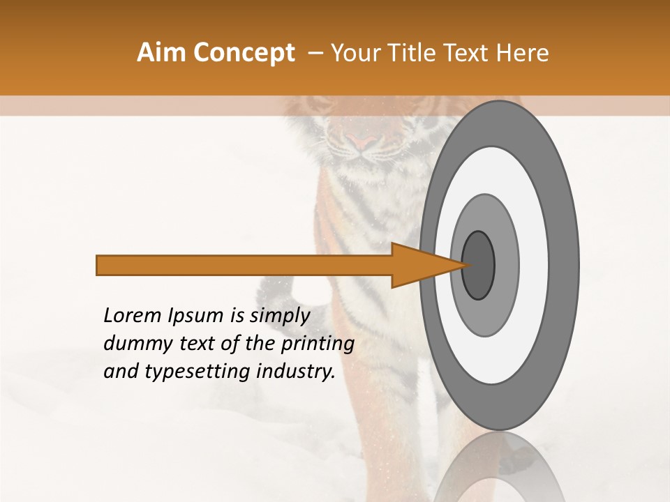 Siberian Tiger Wallpaper Hd PowerPoint Template