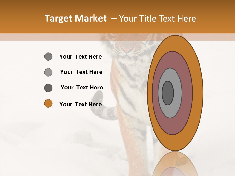 Siberian Tiger Wallpaper Hd PowerPoint Template