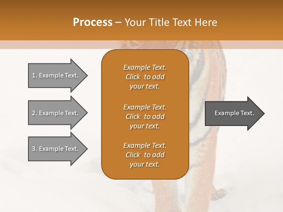 Siberian Tiger Wallpaper Hd PowerPoint Template