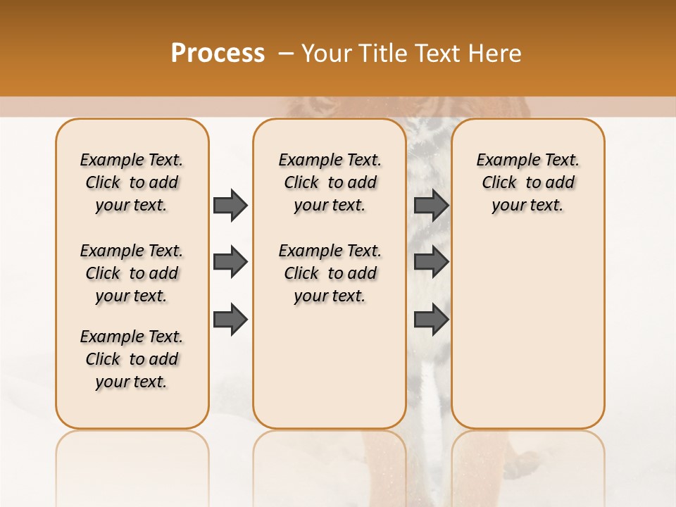Siberian Tiger Wallpaper Hd PowerPoint Template