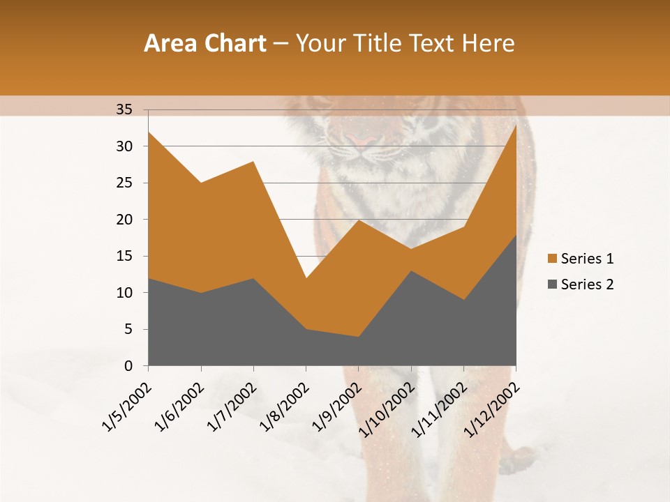 Siberian Tiger Wallpaper Hd PowerPoint Template