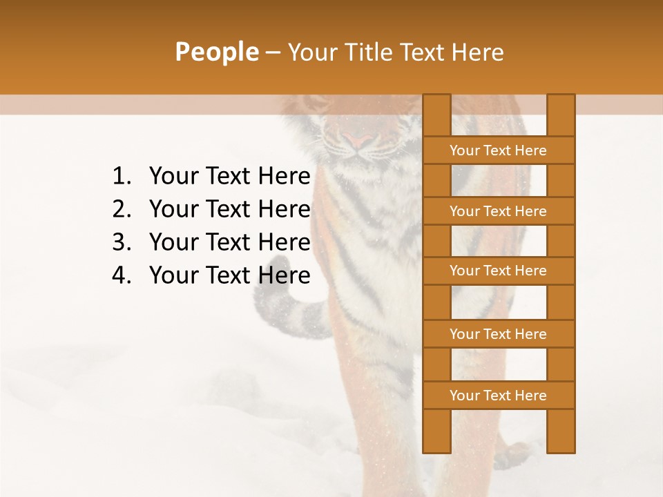 Siberian Tiger Wallpaper Hd PowerPoint Template