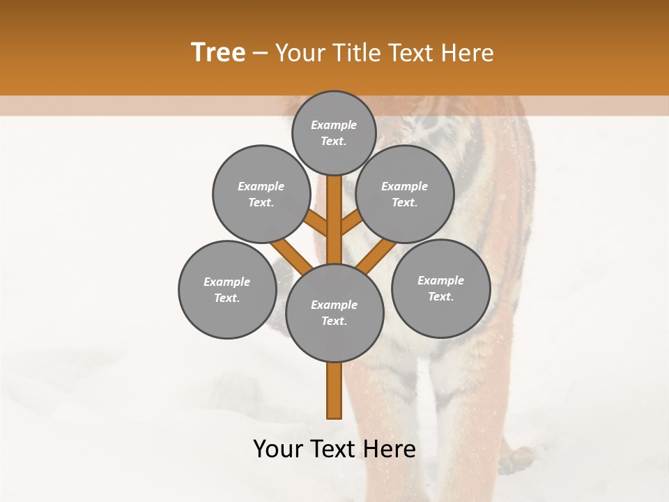 Siberian Tiger Wallpaper Hd PowerPoint Template