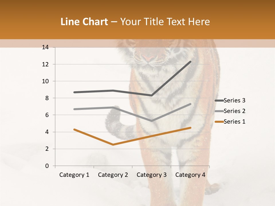 Siberian Tiger Wallpaper Hd PowerPoint Template