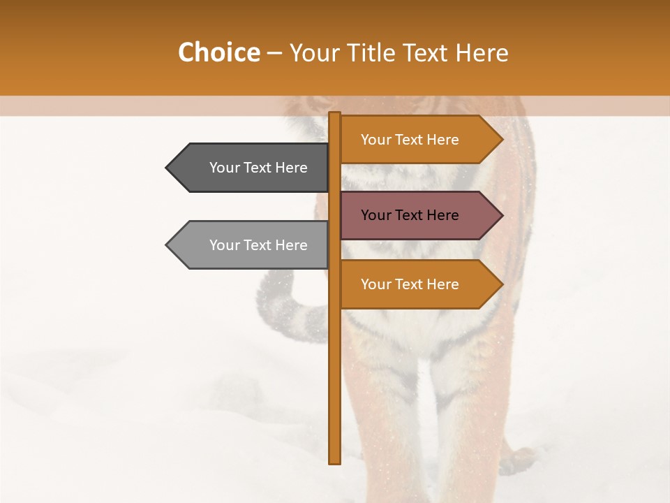 Siberian Tiger Wallpaper Hd PowerPoint Template